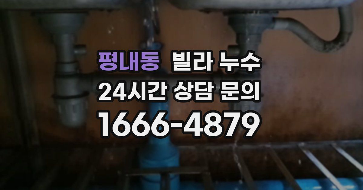 평내동 빌라 누수