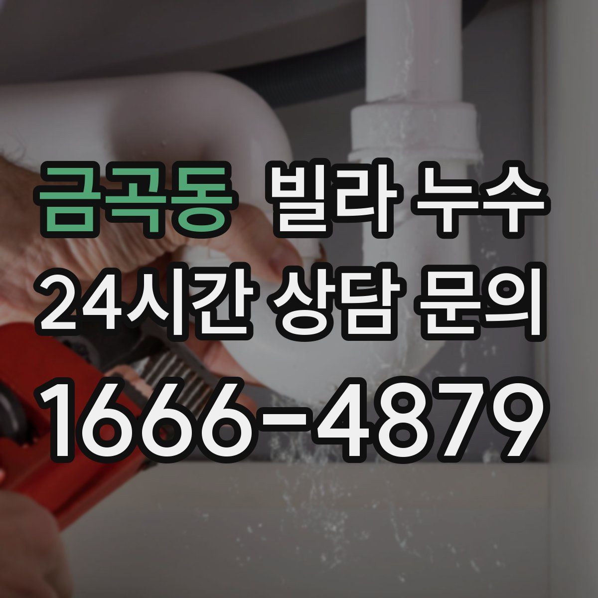 금곡동 빌라 누수