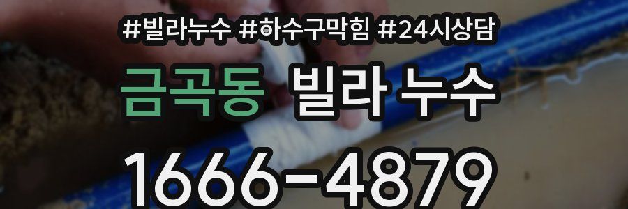 금곡동 빌라 누수