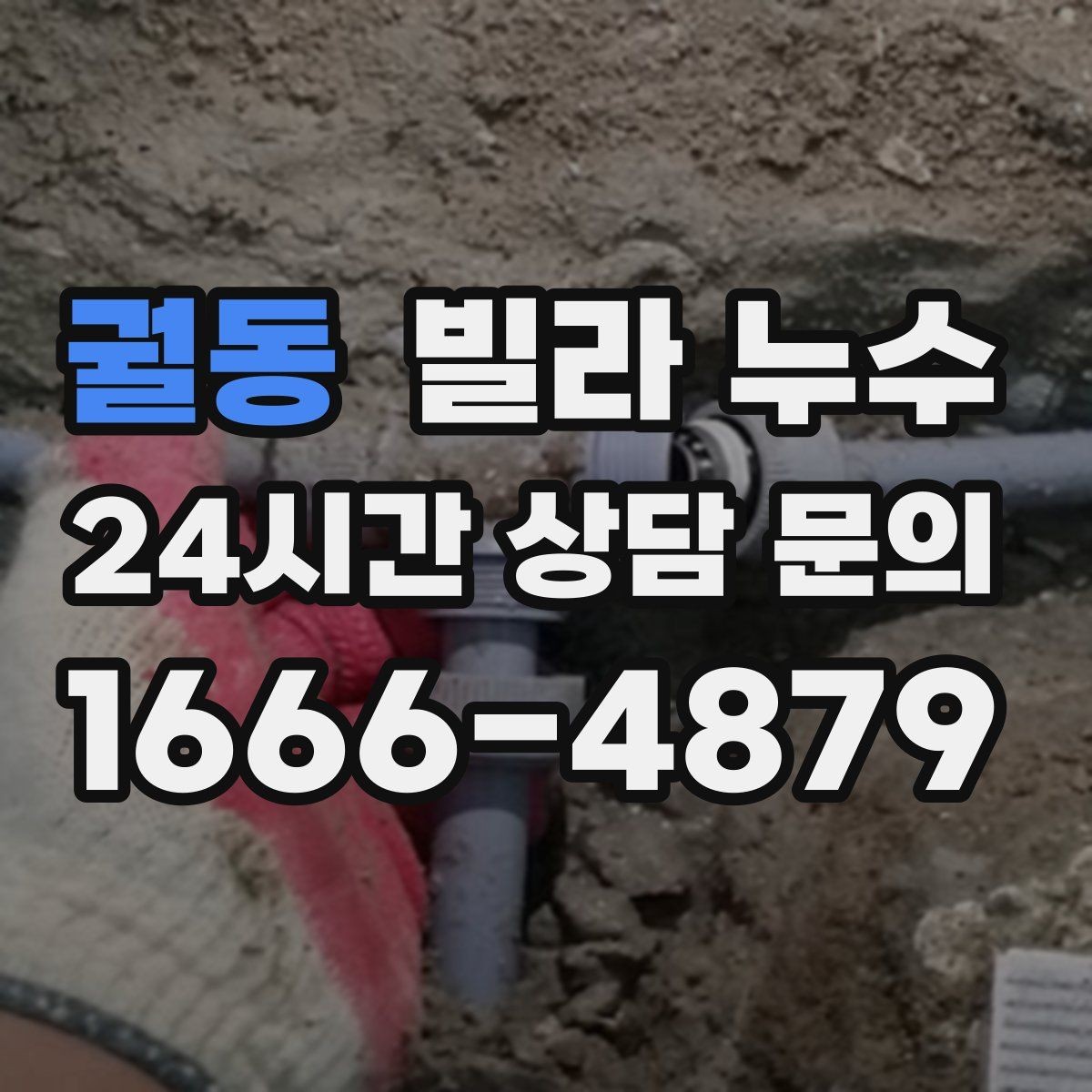 궐동 빌라 누수 욕실 벽 타일 사이 물스밈이 늘었다면