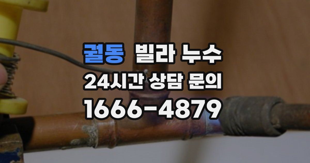 궐동 빌라 누수