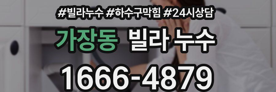 가장동 빌라 누수