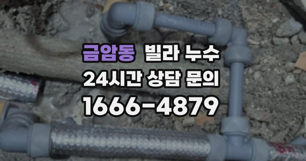 금암동 빌라 누수