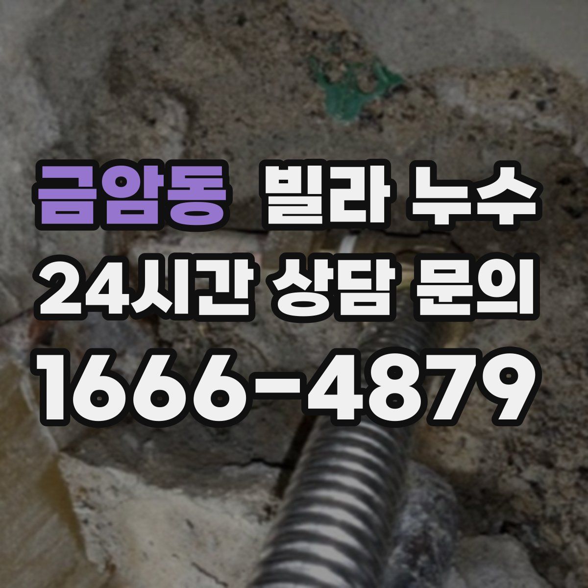 금암동 빌라 누수