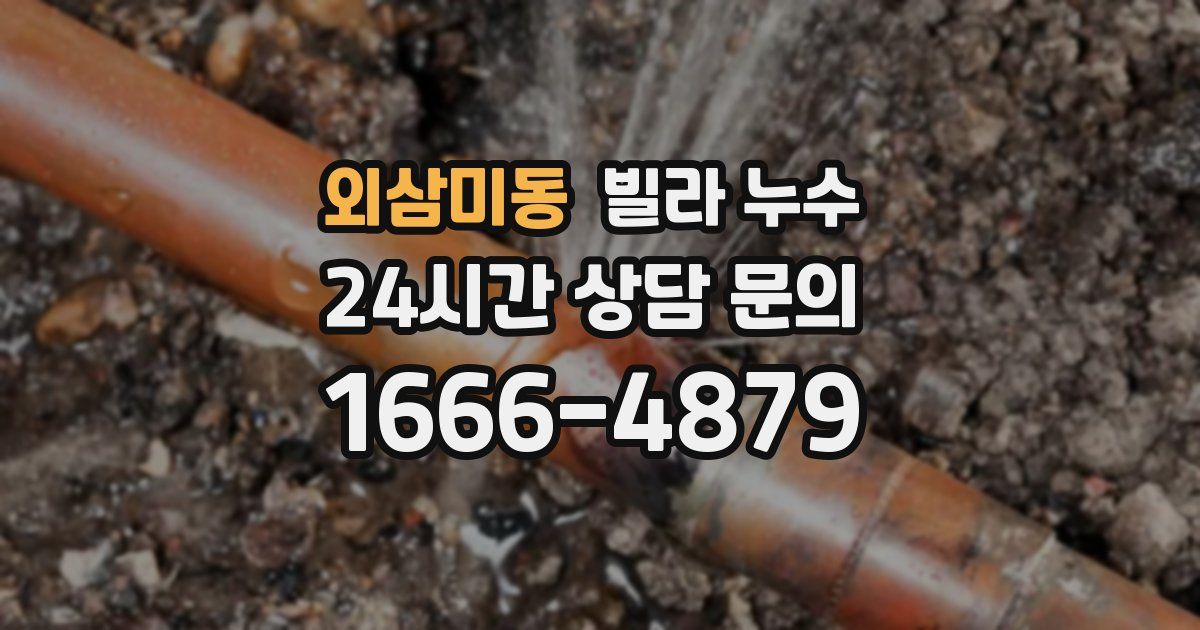외삼미동 빌라 누수