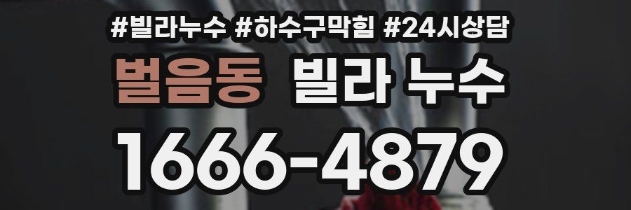 벌음동 빌라 누수