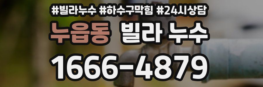 누읍동 빌라 누수