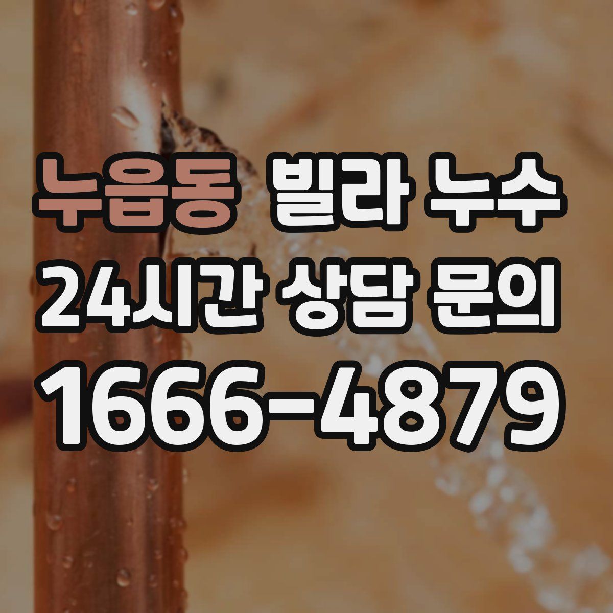 누읍동 빌라 누수