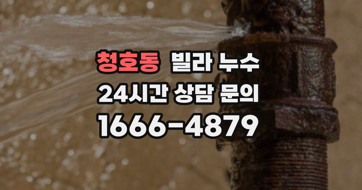 청호동 빌라 누수