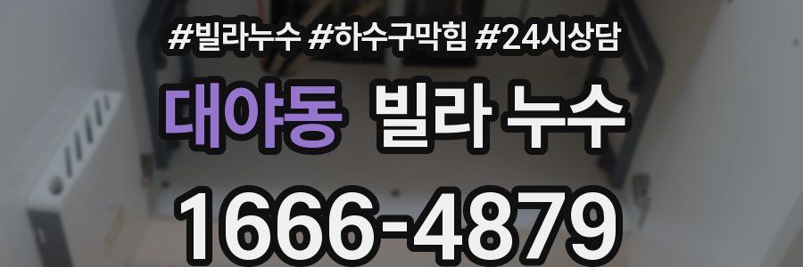 대야동 빌라 누수