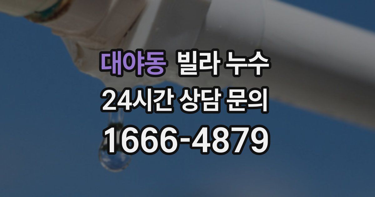 대야동 빌라 누수