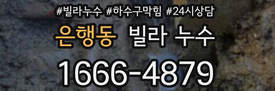 은행동 빌라 누수