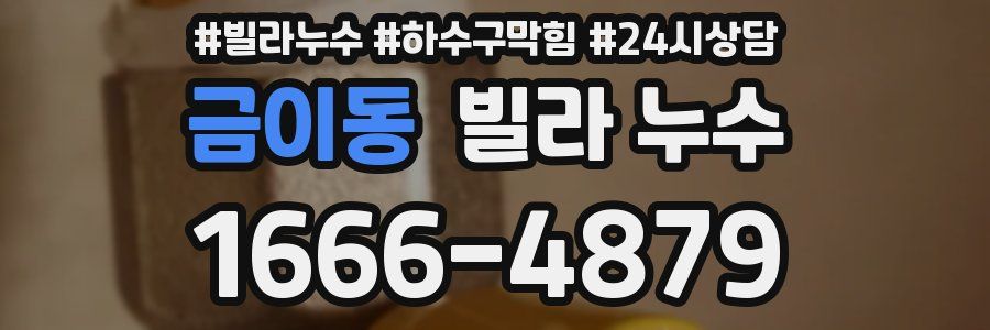 금이동 빌라 누수