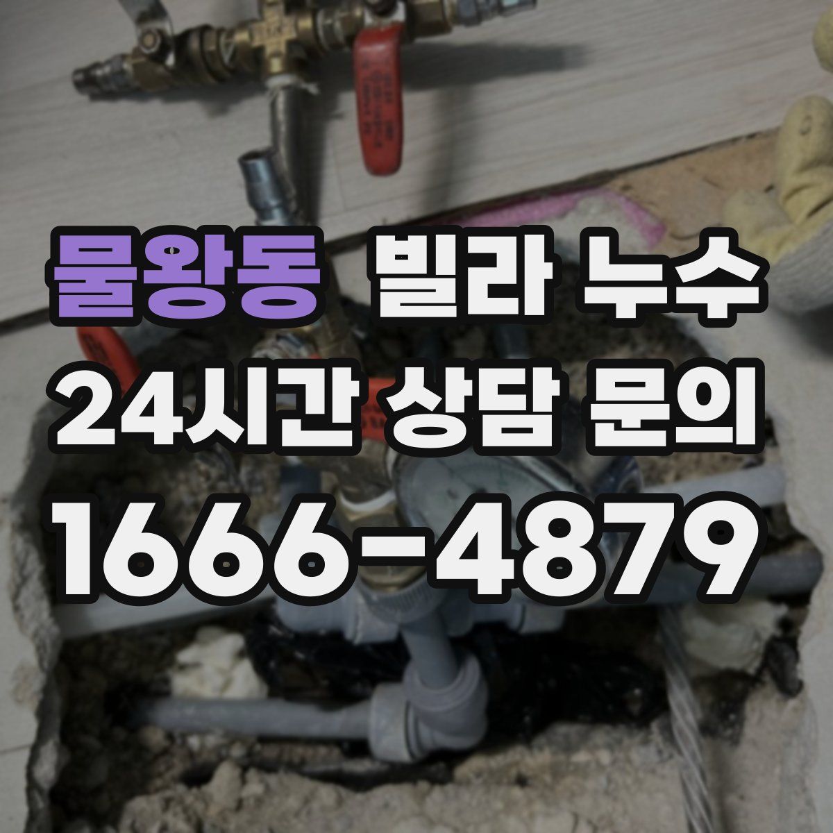 물왕동 빌라 누수