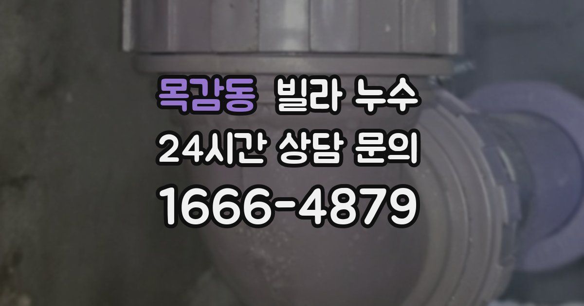 목감동 빌라 누수