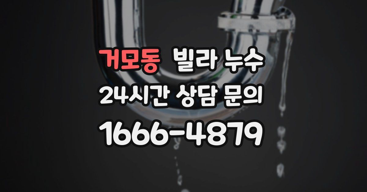 거모동 빌라 누수