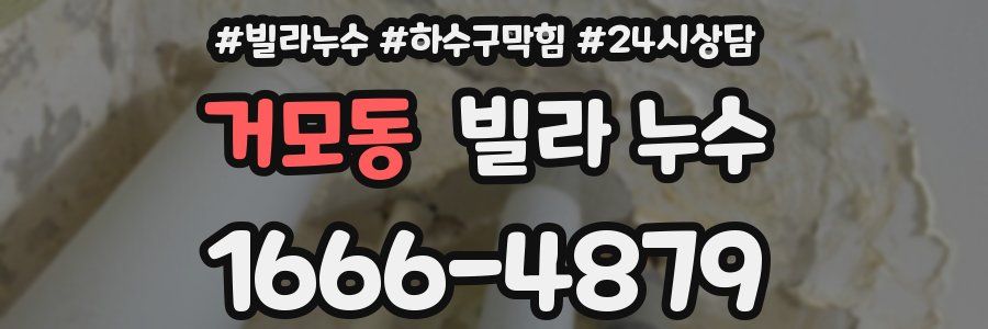 거모동 빌라 누수