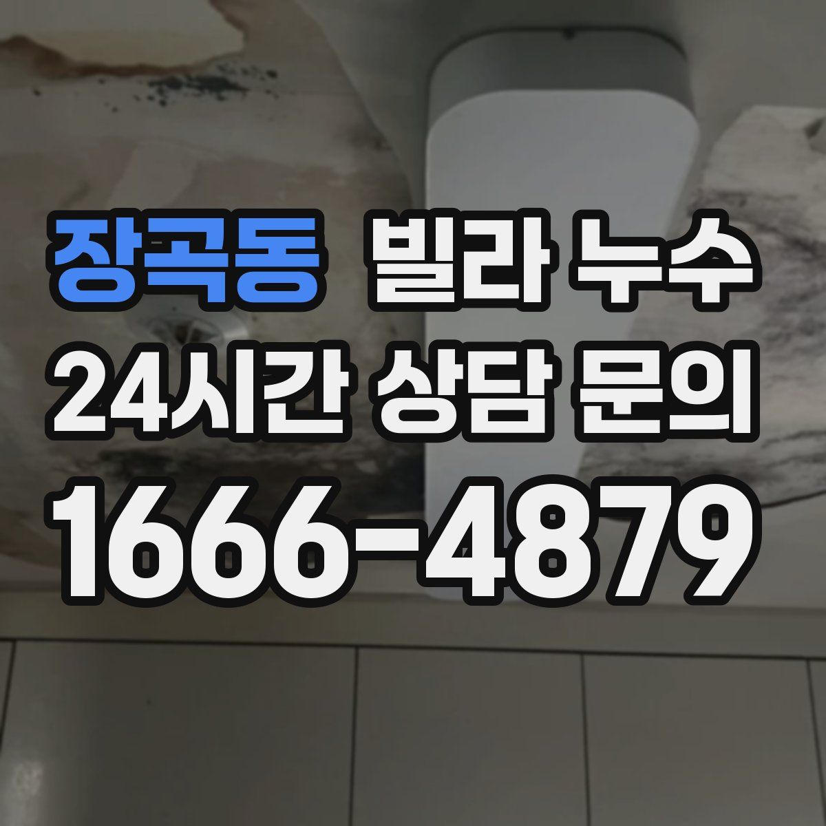 장곡동 빌라 누수