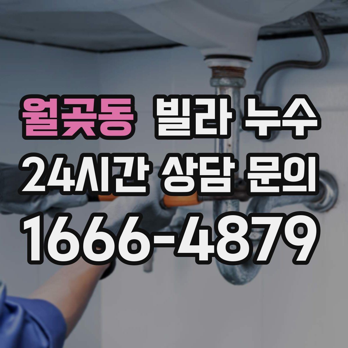 월곶동 빌라 누수 세탁실 바닥 배수구가 넘칠 때 대처