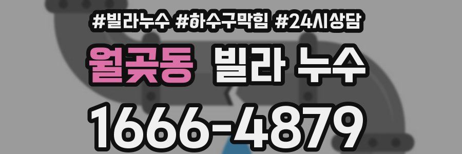 월곶동 빌라 누수