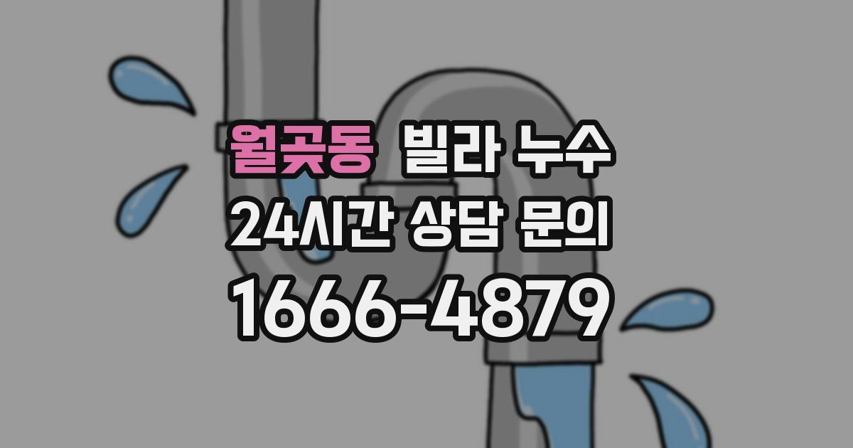 월곶동 빌라 누수