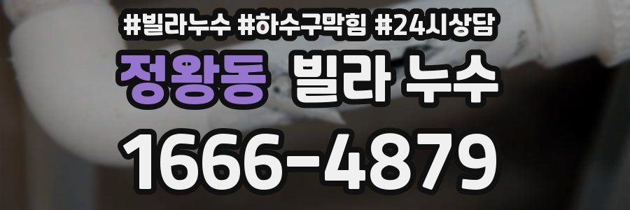 정왕동 빌라 누수