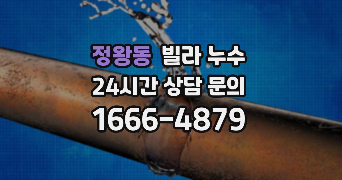 정왕동 빌라 누수