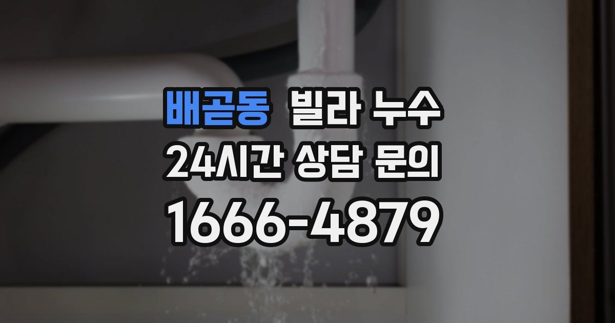 배곧동 빌라 누수