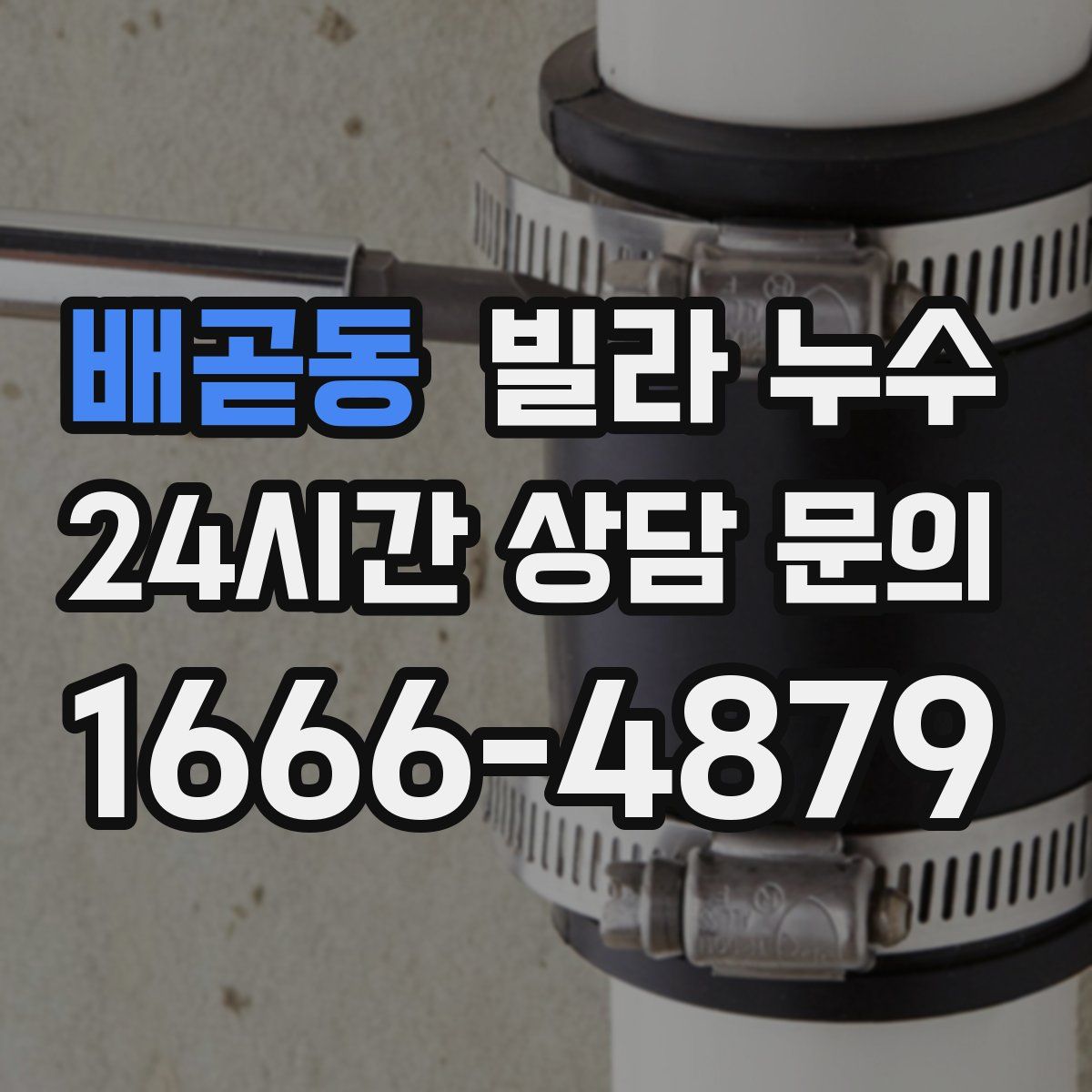 배곧동 빌라 누수