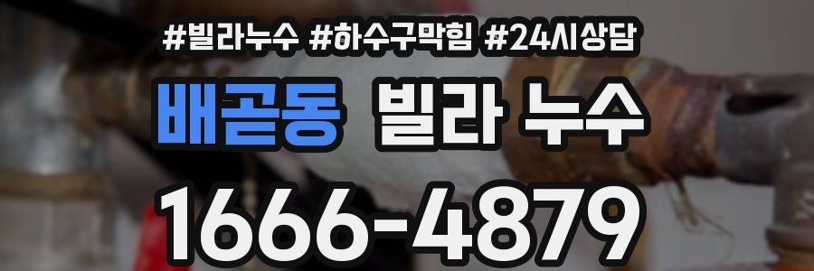 배곧동 빌라 누수