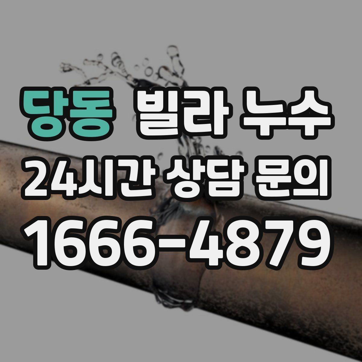 당동 빌라 누수 냉장고 뒤 바닥에 물이 고이면 꼭 확인할 것