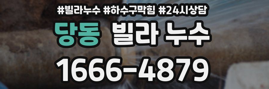 당동 빌라 누수