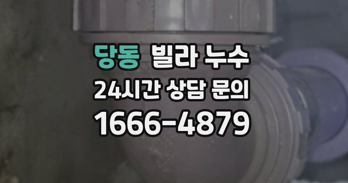 당동 빌라 누수