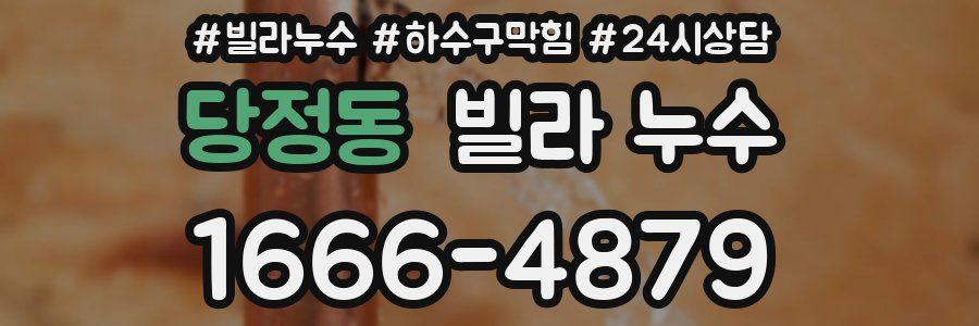 당정동 빌라 누수