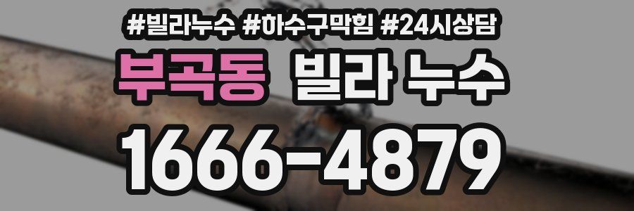 부곡동 빌라 누수