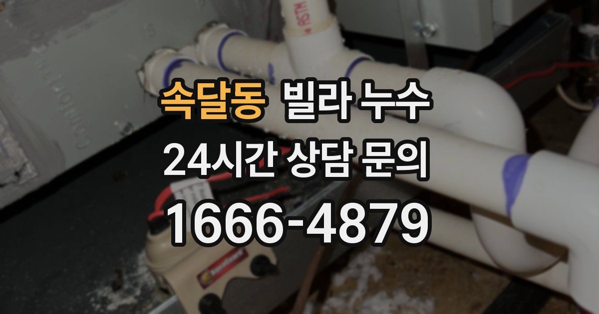 속달동 빌라 누수