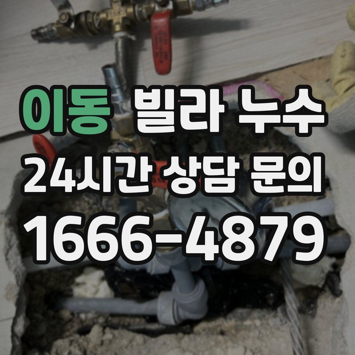 이동 빌라 누수 섣불리 도배부터 하면 재발할 수 있어요