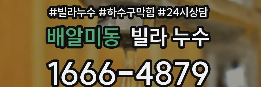 배알미동 빌라 누수