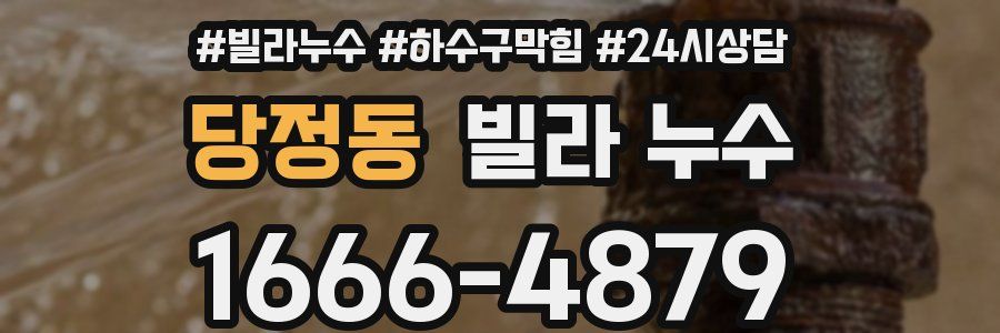 당정동 빌라 누수