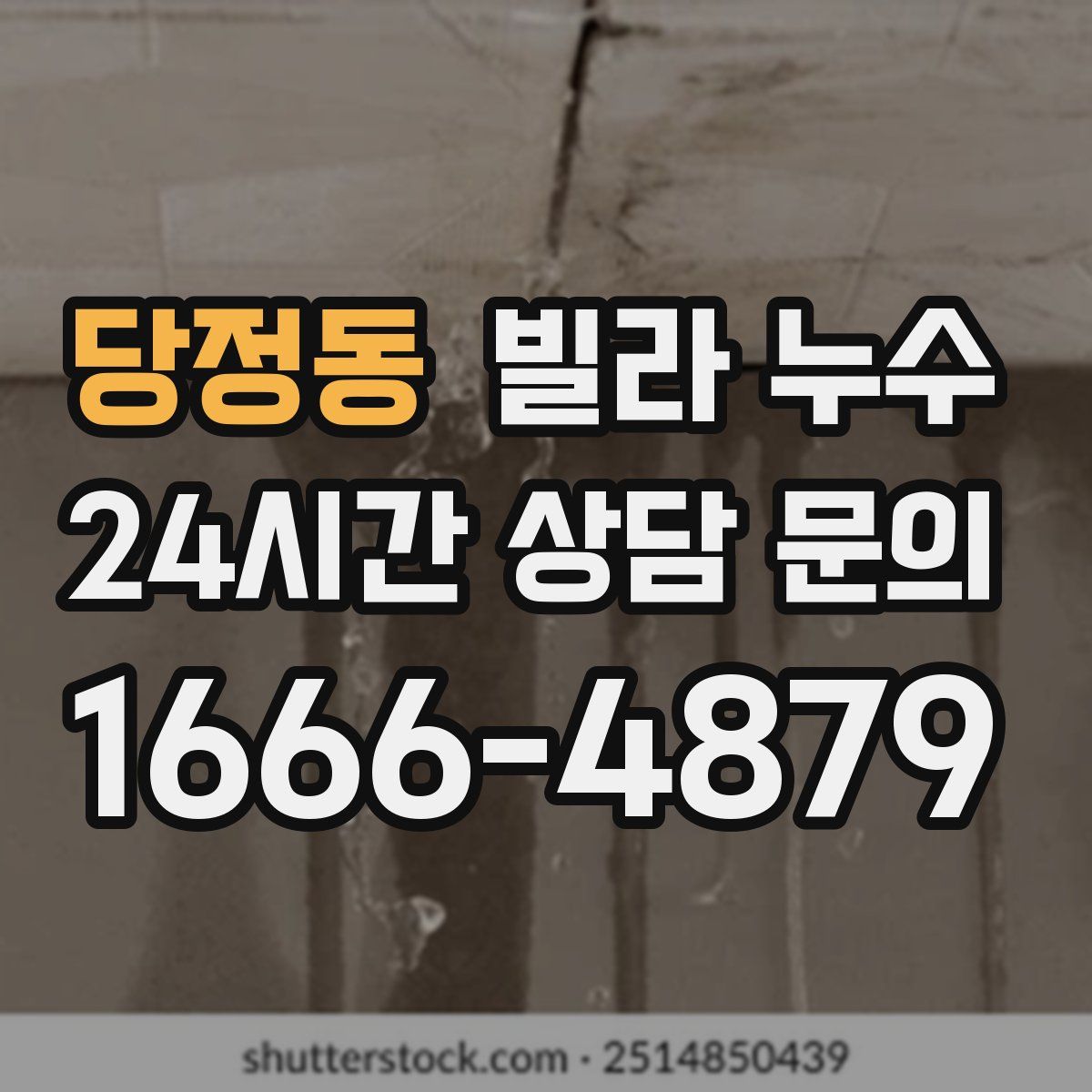 당정동 빌라 누수