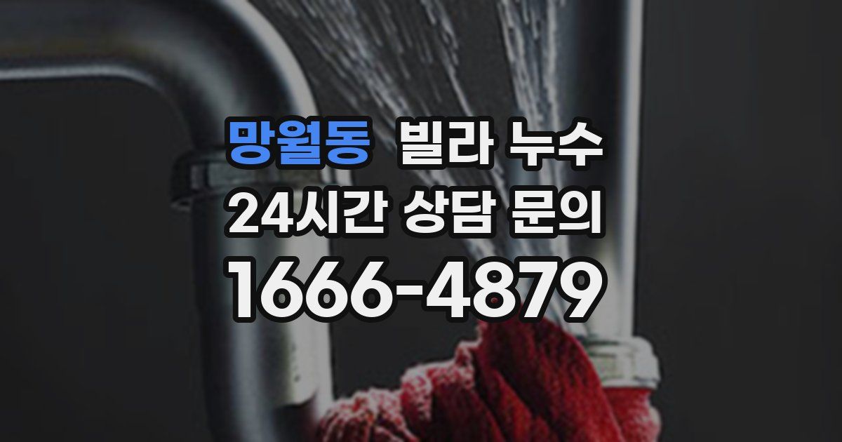 망월동 빌라 누수