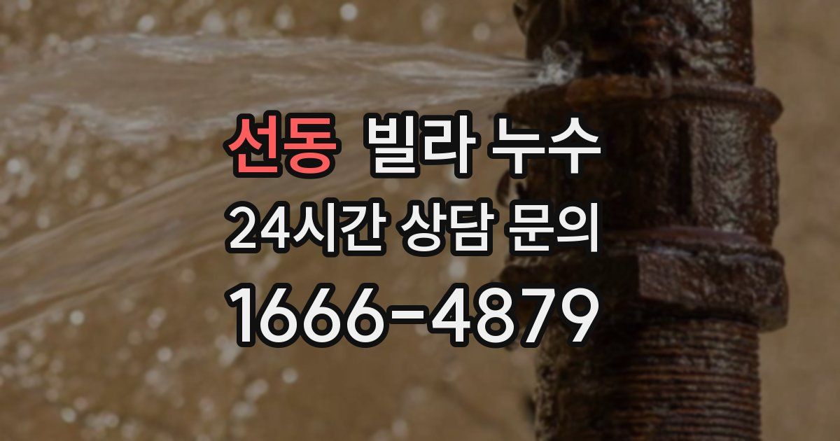 선동 빌라 누수
