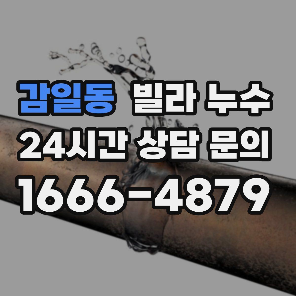 감일동 빌라 누수 곰팡이 냄새가 강해지면 내부 습기 신호
