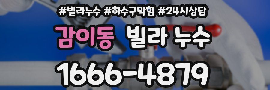 감이동 빌라 누수