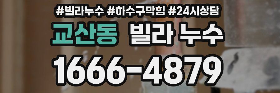 교산동 빌라 누수