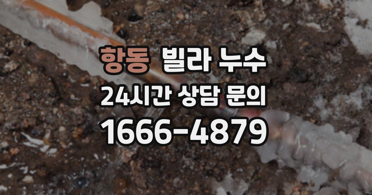 항동 빌라 누수