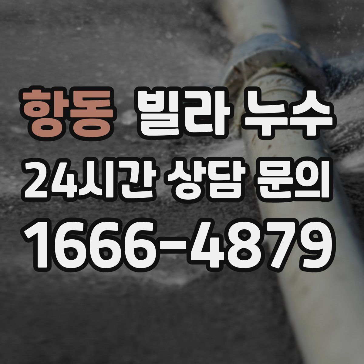 항동 빌라 누수