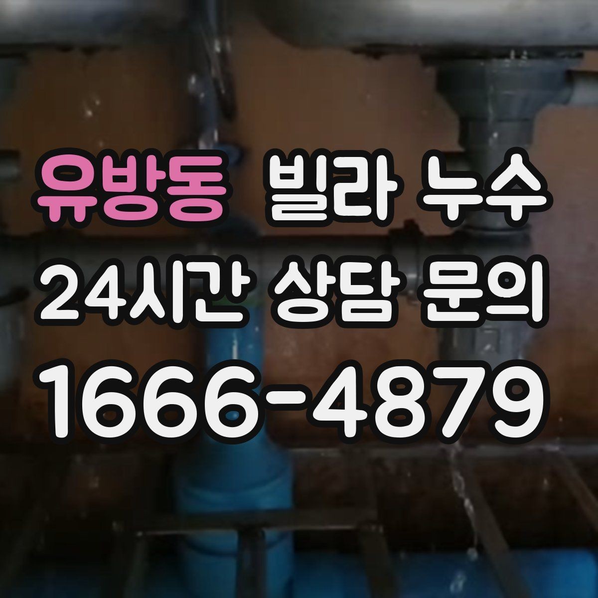 유방동 빌라 누수 우편함 주변이 젖는다면 빗물 유입 가능성