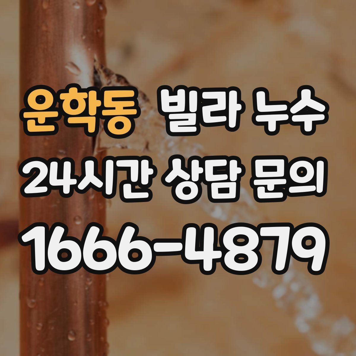 운학동 빌라 누수 도배만 다시 하면 재발하는 이유