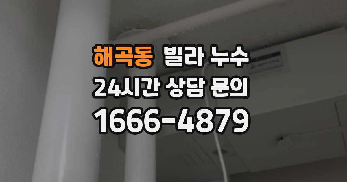 해곡동 빌라 누수